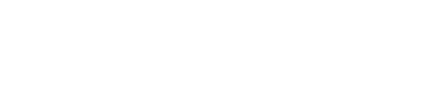 Logotipo Security Love